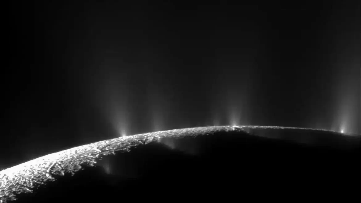 Phosphorus Is Present In Enceladus' Ocean